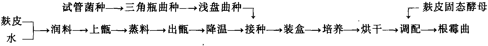 第二節(jié) 小曲培養(yǎng)工藝